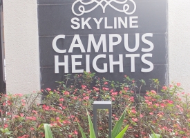 SKYLINE-1