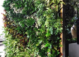 VERTICAL-GARDEN-4