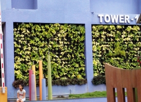 VERTICAL-GARDEN-ASSET-HOMES